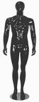 Male Mannequin Form