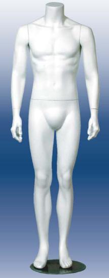 Male Mannequin